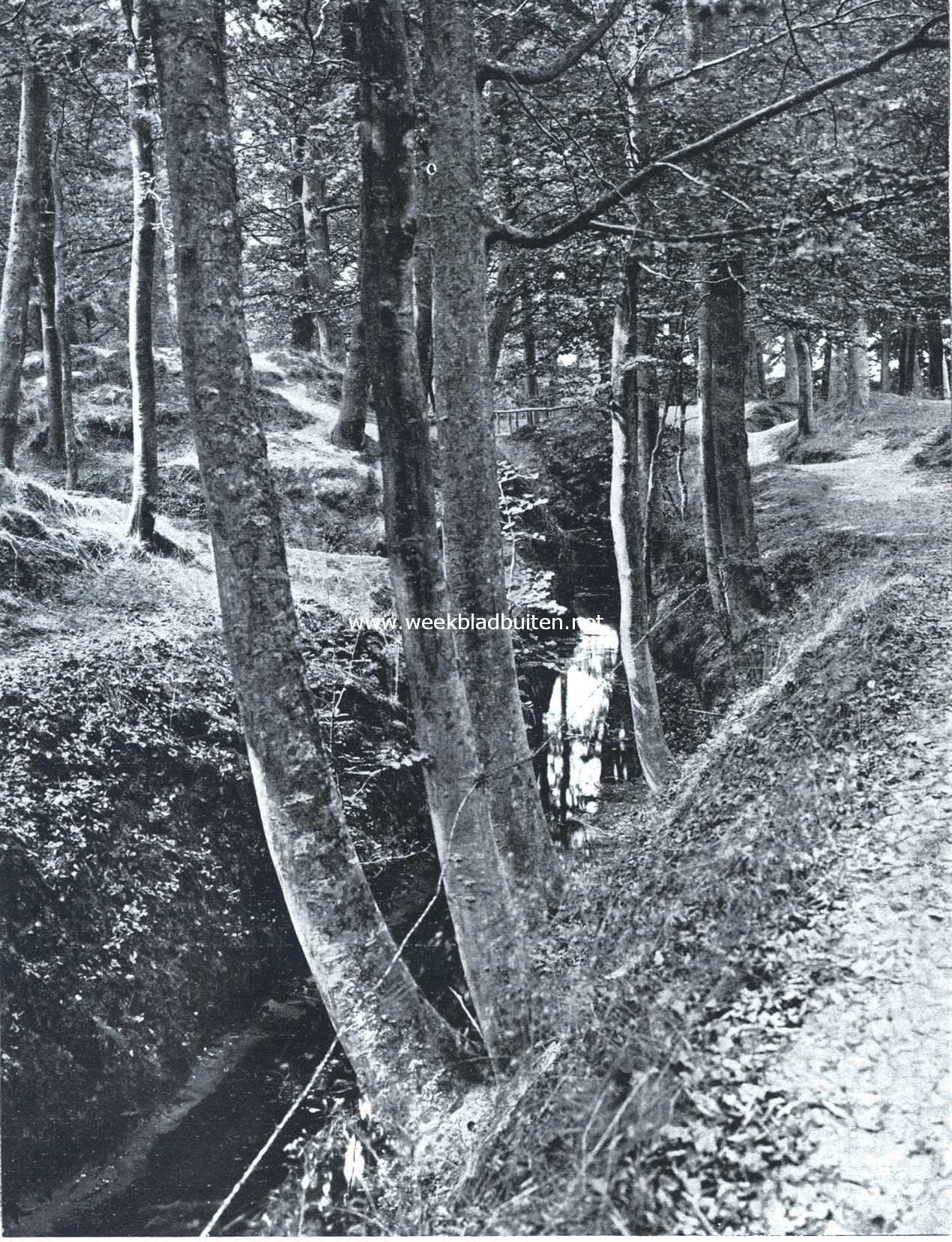 In het bosch bij Putten