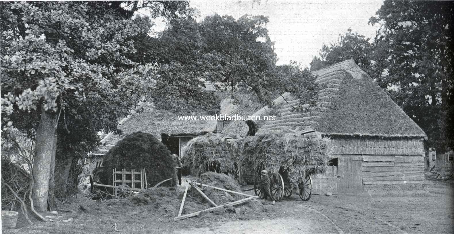 Door de binnenlanden van Drente. Oude Drentsche hoeve