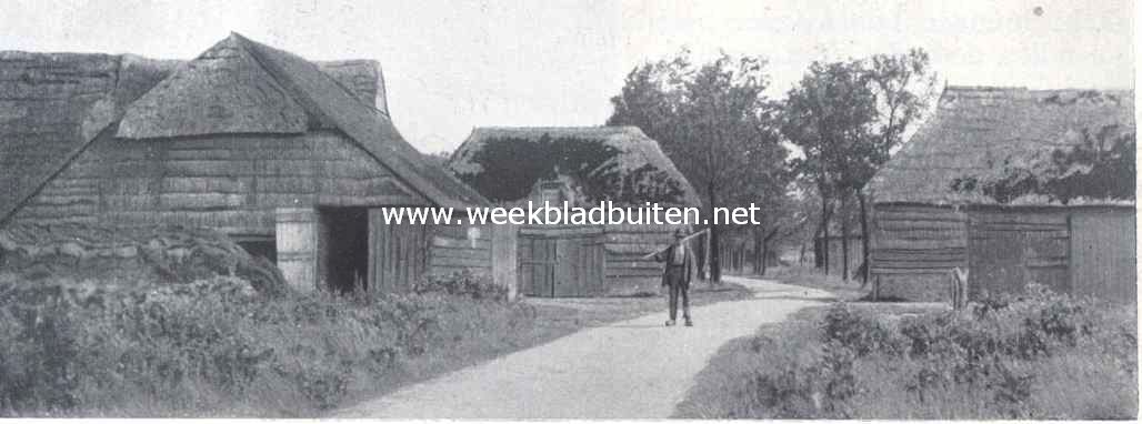 Door de binnenlanden van Drente. In het heidedorpje Spier