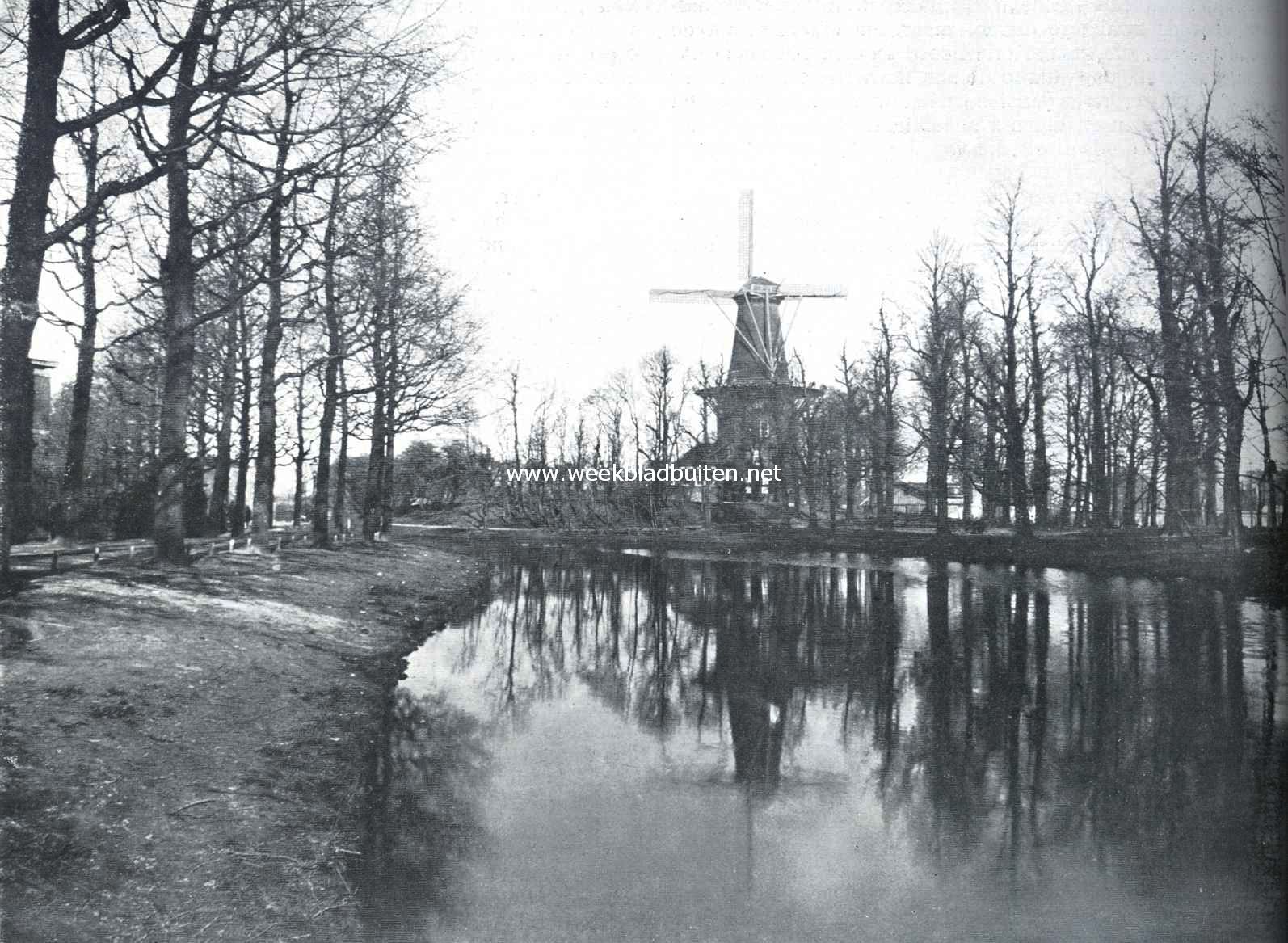Leidsche windmolens. De Rijnburgsche Singel te Leiden, met den molen 