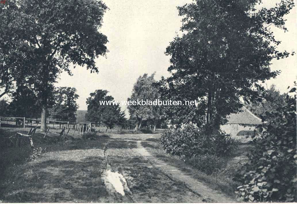 Dorpsgezicht te Havelte