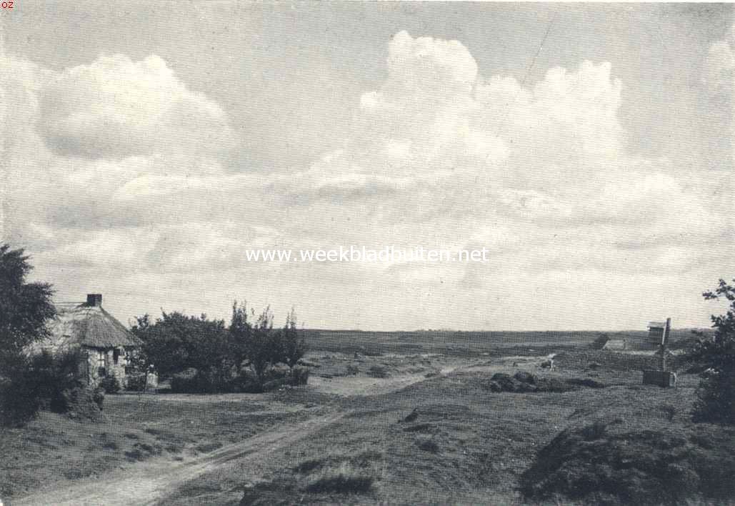 Het Kamperzand bij Havelte