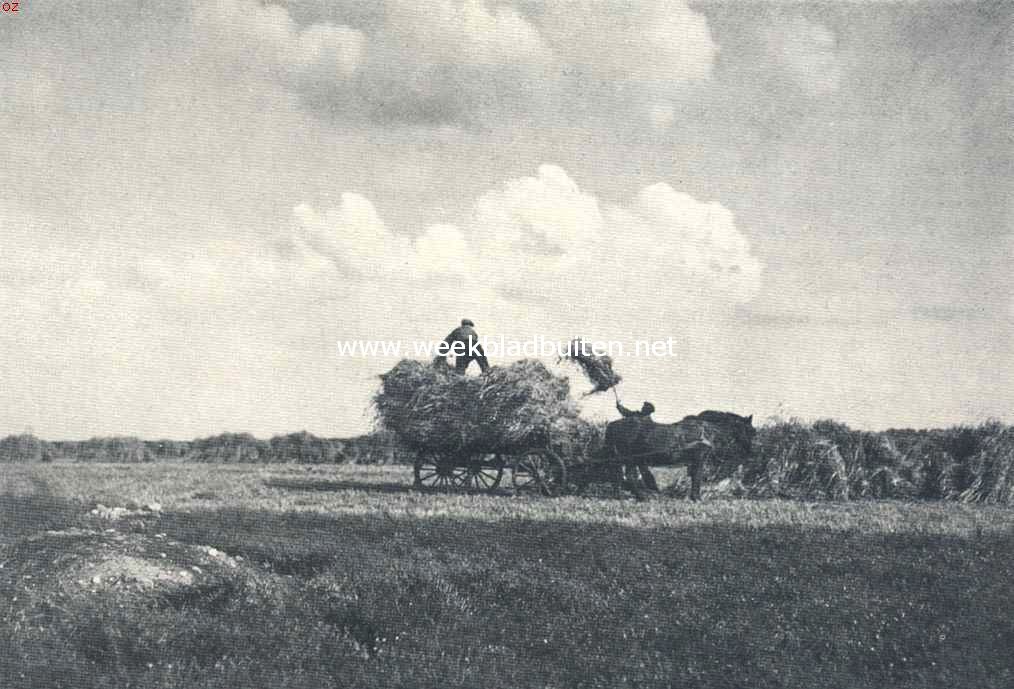 Op den Havelterberg