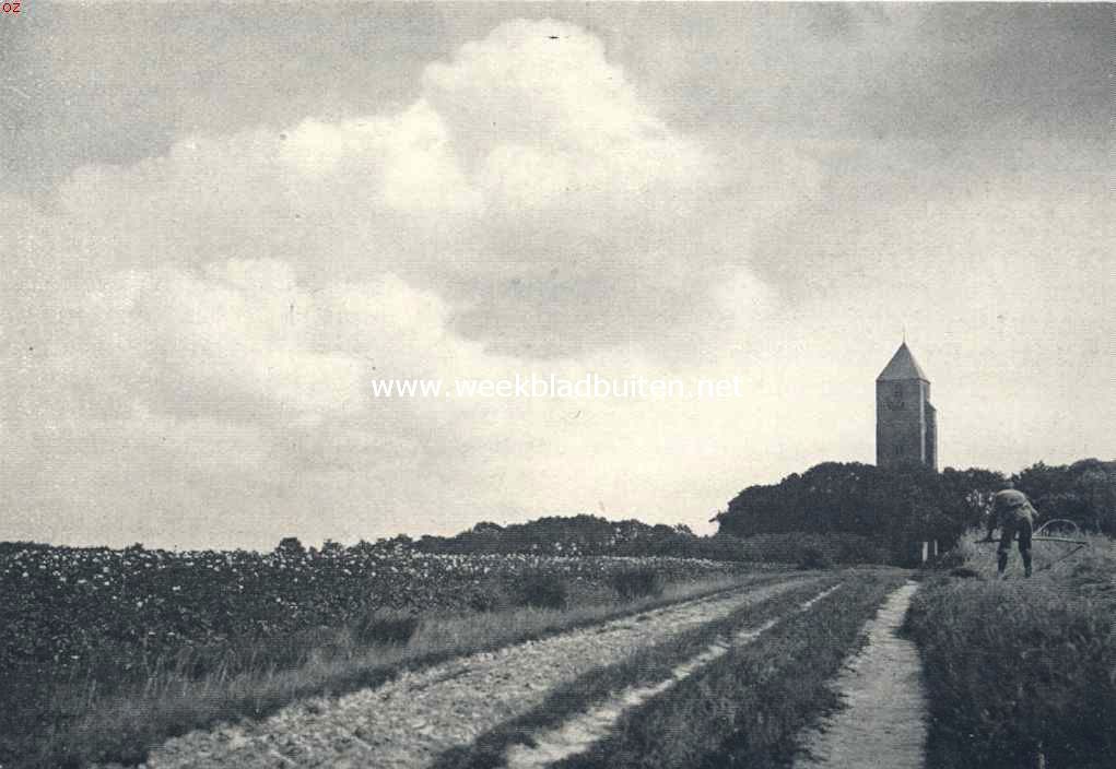 Gezicht op den kerktoren van Havelte