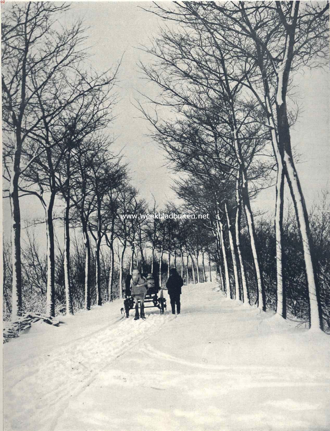's Morgens vroeg in de sneeuw