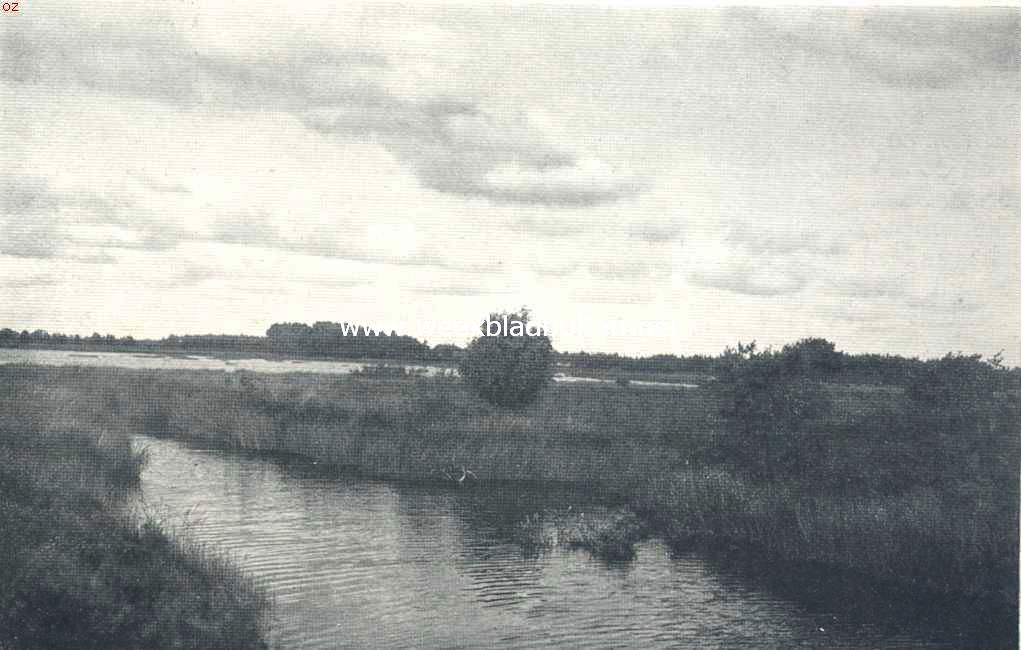 In het Brandeveen bij Uffelte