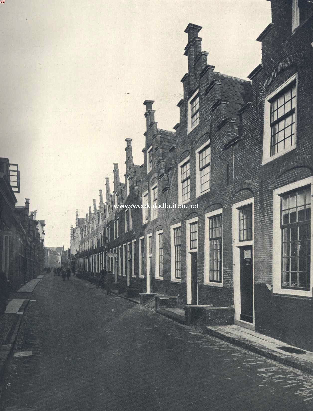 Kijkje in het Groot Heiligland te Haarlem