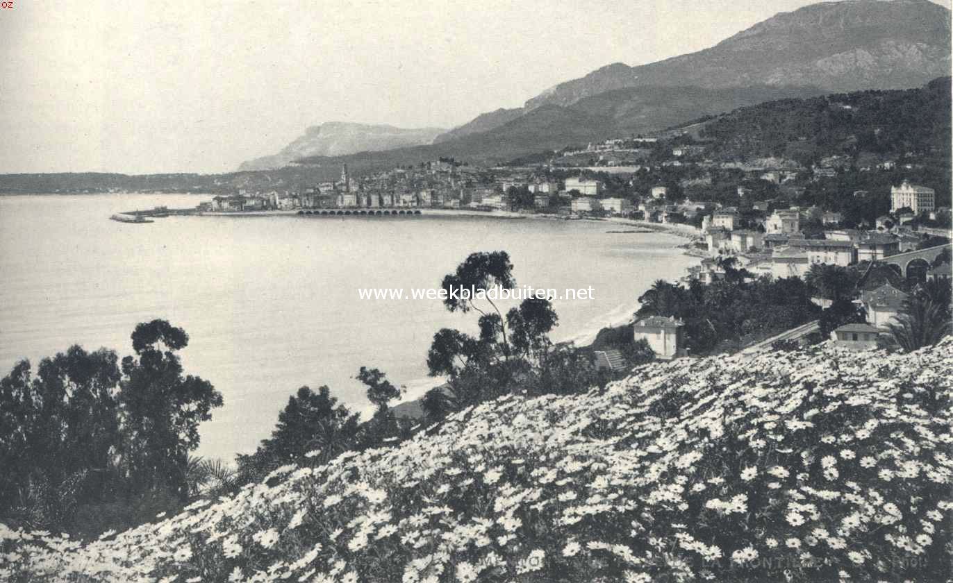 Rotsformaties en plantengroei aan de Azuurkust. Menton, gezien van de oostelijke omranding der baai, in den krijtkalksteen uitgehold. Op den achtergrond de hardere Jurakalk-uitlooper van Kaap St. Martin; nog verder de Jurakalkrots van Monaco. Op den voorgrond margarieten (Anthemis Frutescens), als snijbloem zeer gezocht