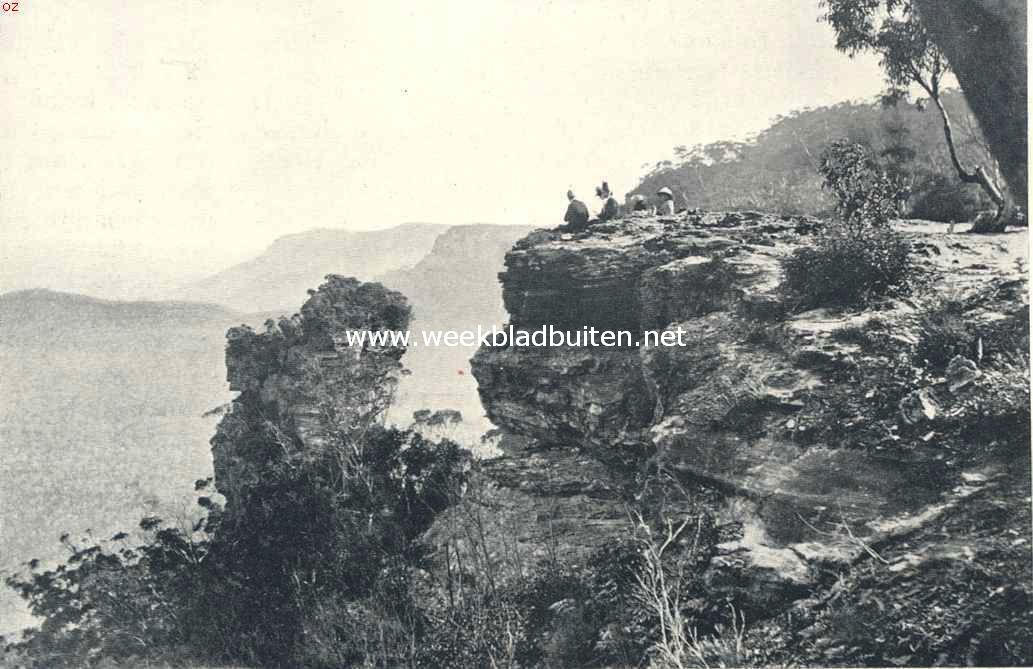 Nieuw Zeeland. Op de rotsen van Midford-sound