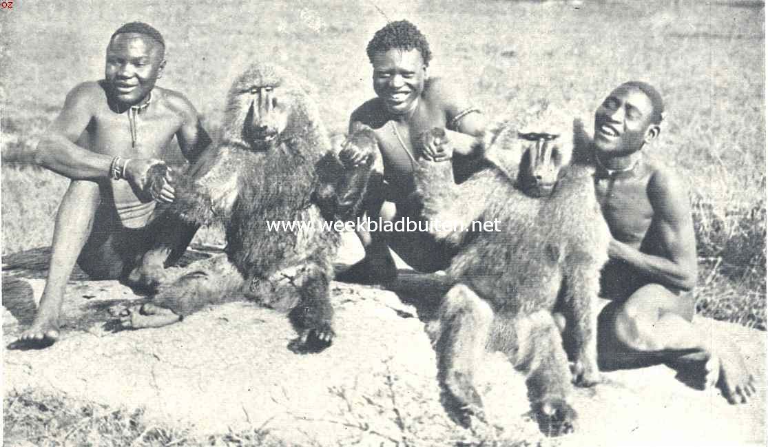 De bewoners van Oost-Afrika. Hoe ik wilde dieren levend gevangen heb. Een vroolijk gezelschap Oost-Afrikaners