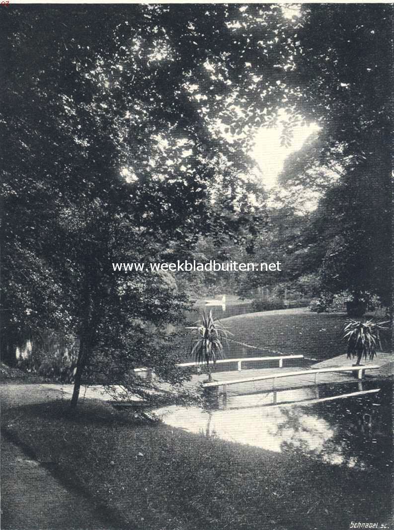 In het park van Scheybeeck