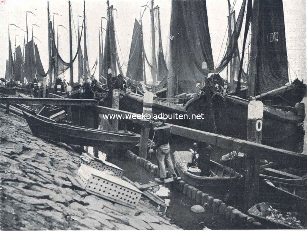 Volendam en de haringvangst. De bedrijvigheid in de haven van Volendam tijdens de haringvangst