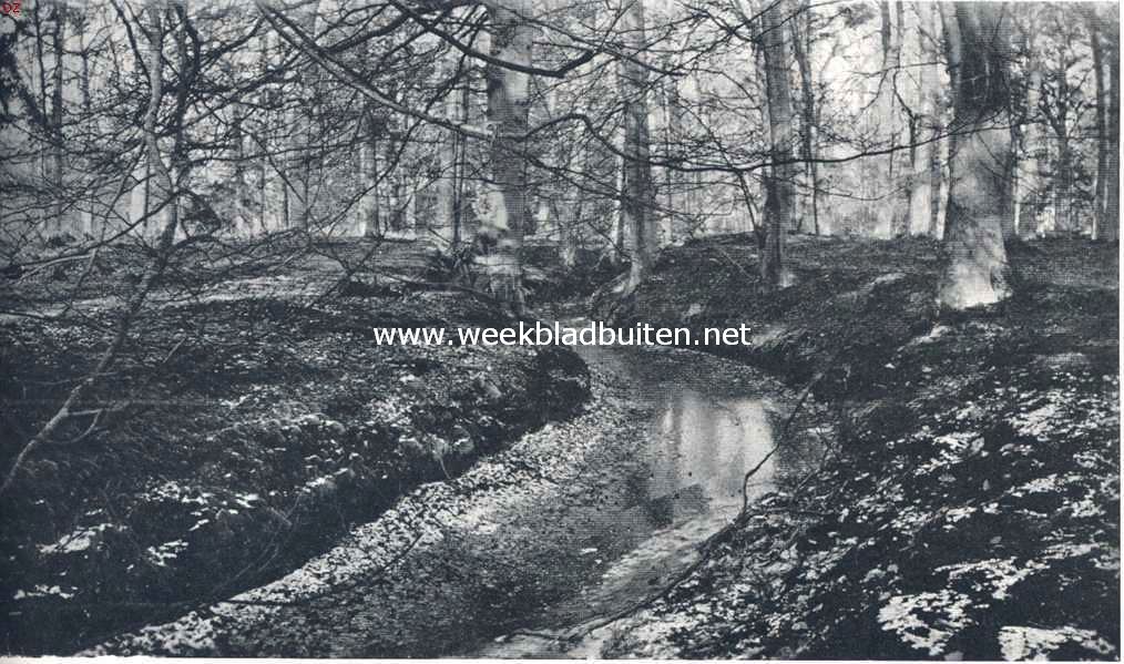 Op Bantam. Het beekje op Bantam
