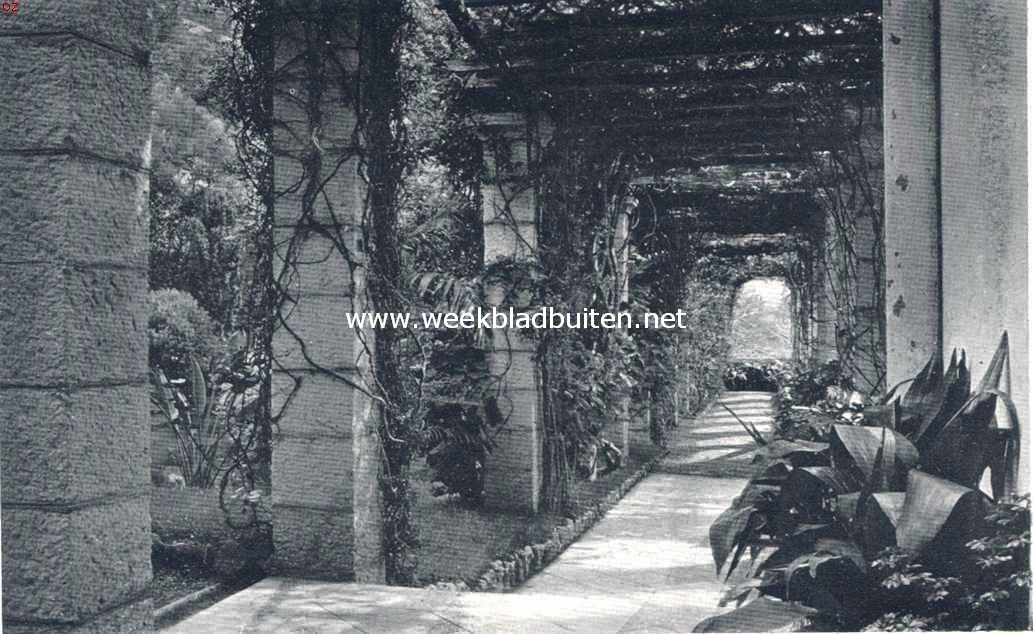 Tropische plantengroei aan de Riviera. Pergola bij het huis