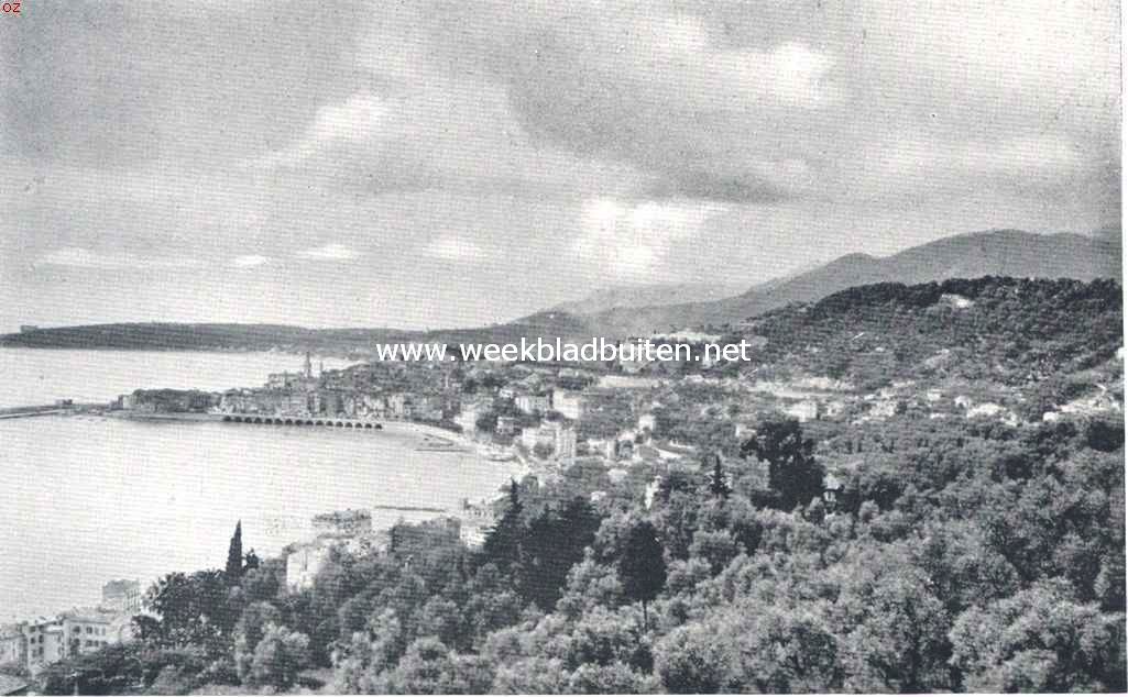 Tropische plantengroei aan de Riviera. Menton en de Middellandsche Zee