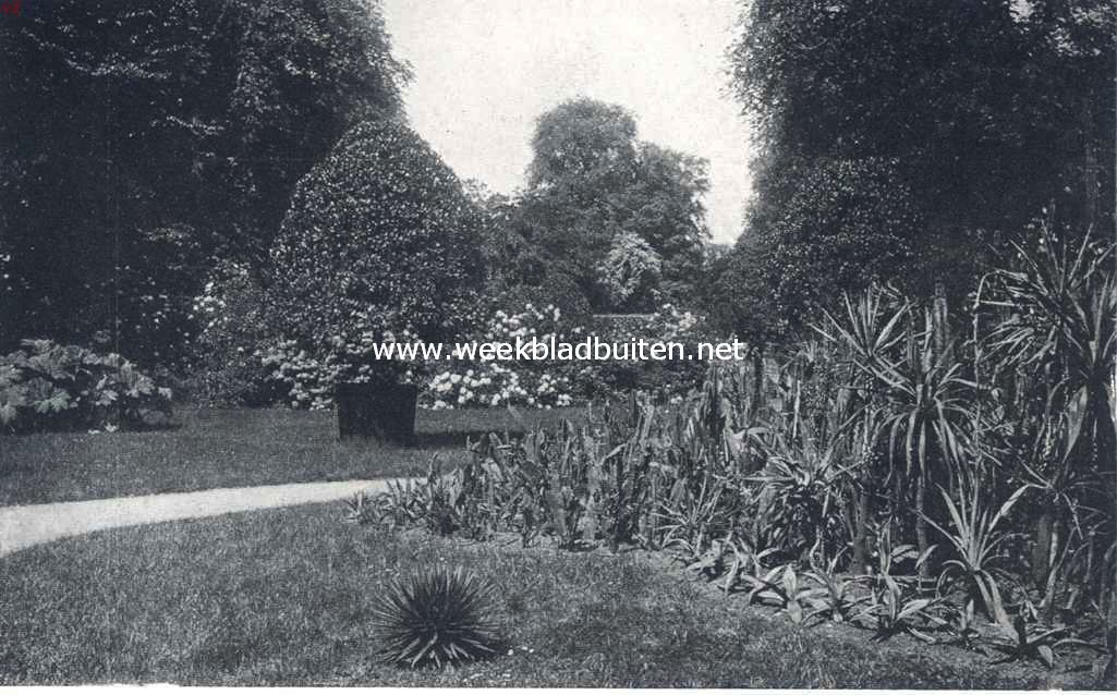 Een oord vol schoonheid. Het cactussenperk bij den gedenksteen van Peter Artedi