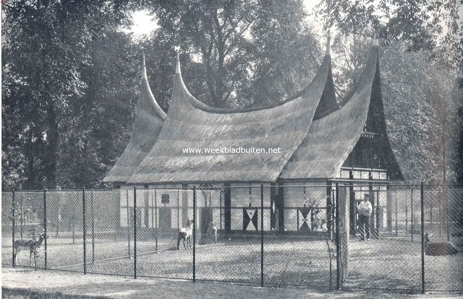 Een oord vol schoonheid. Het Menangkabausch huis, verblijfplaats van herten en antilopen