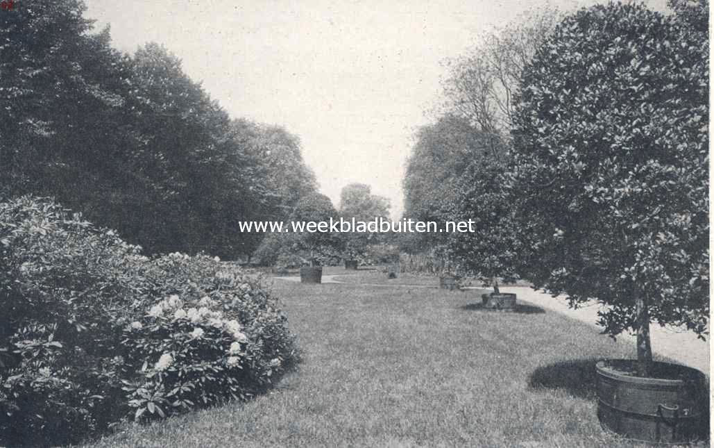 Een oord vol schoonheid. Gazon met rhododendrons van het naar het aquarium voerende pad