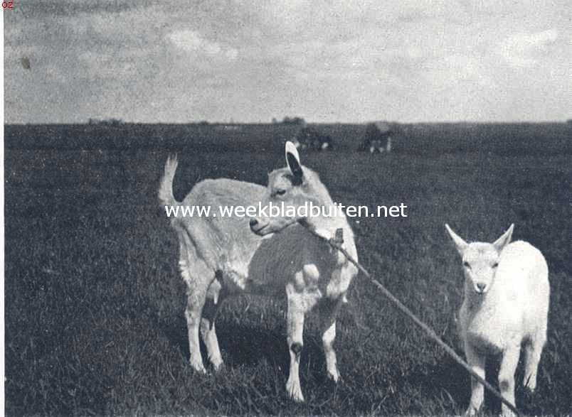 Moeder en kind