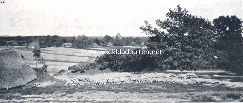 Sallandsch landschap 1