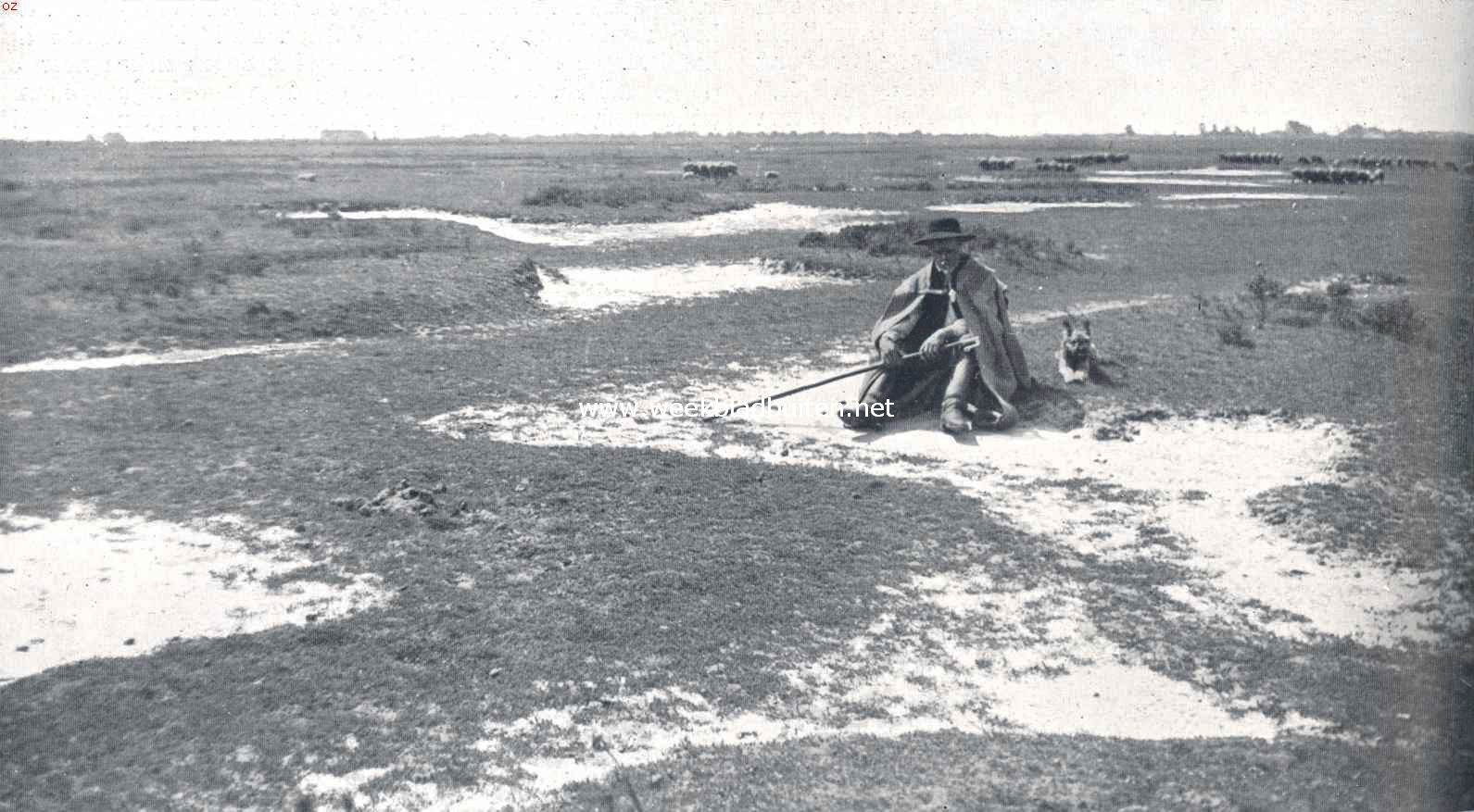 In Oost- en West-Hongarije. Oude schaapherder in de Hongaarsche poesta