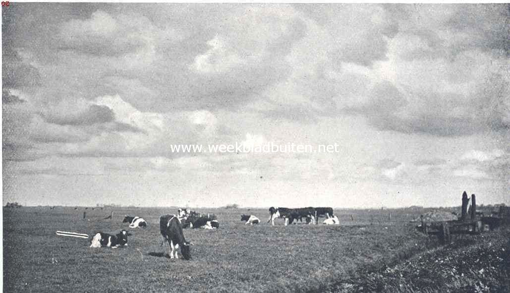 Hollandsch Landschap