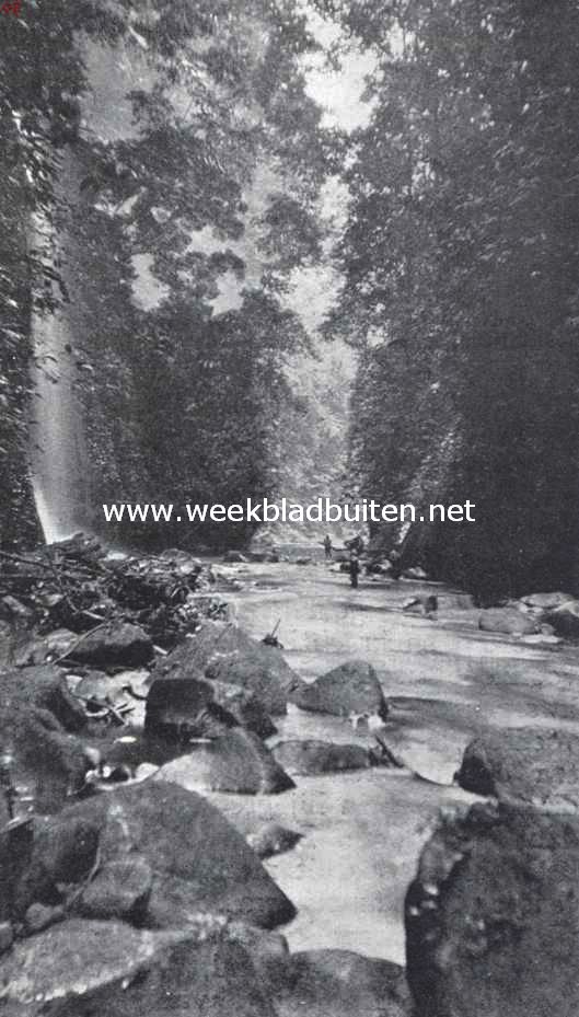 In Sumatra's oerwoud. De kloof van de Bah Hapil 2
