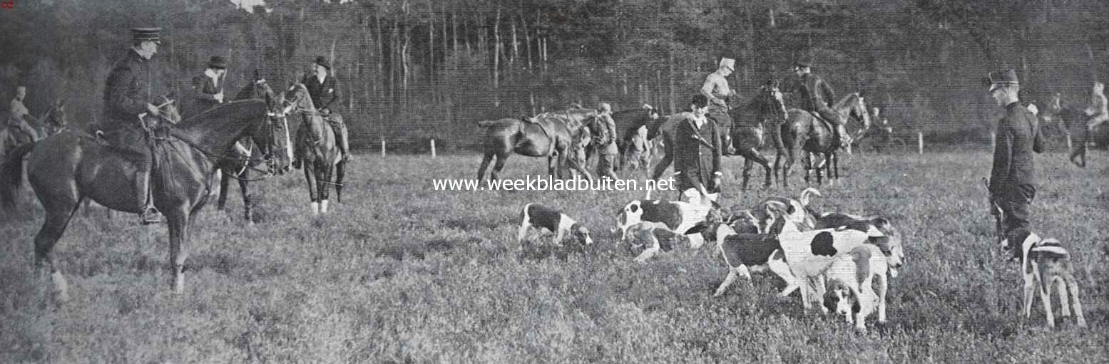 De Koninkl. Nederlandsche Jachtvereeniging en het jachtrijden achter de honden. Aan de 