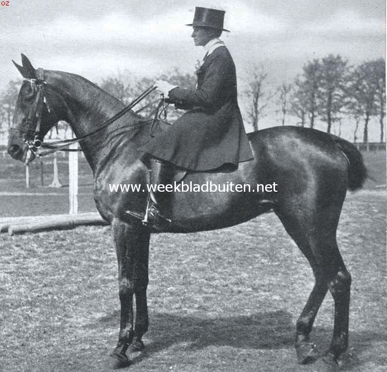 De Koninkl. Nederlandsche Jachtvereeniging en het jachtrijden achter de honden. Mevrouw S.M.C. van Reede-Van der Goes, een der bekendste amazones van ons land, bestuurslid der K.N.J.V.