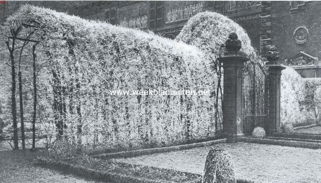 Beijzelde pergola in den tuin van het Rijksmuseum