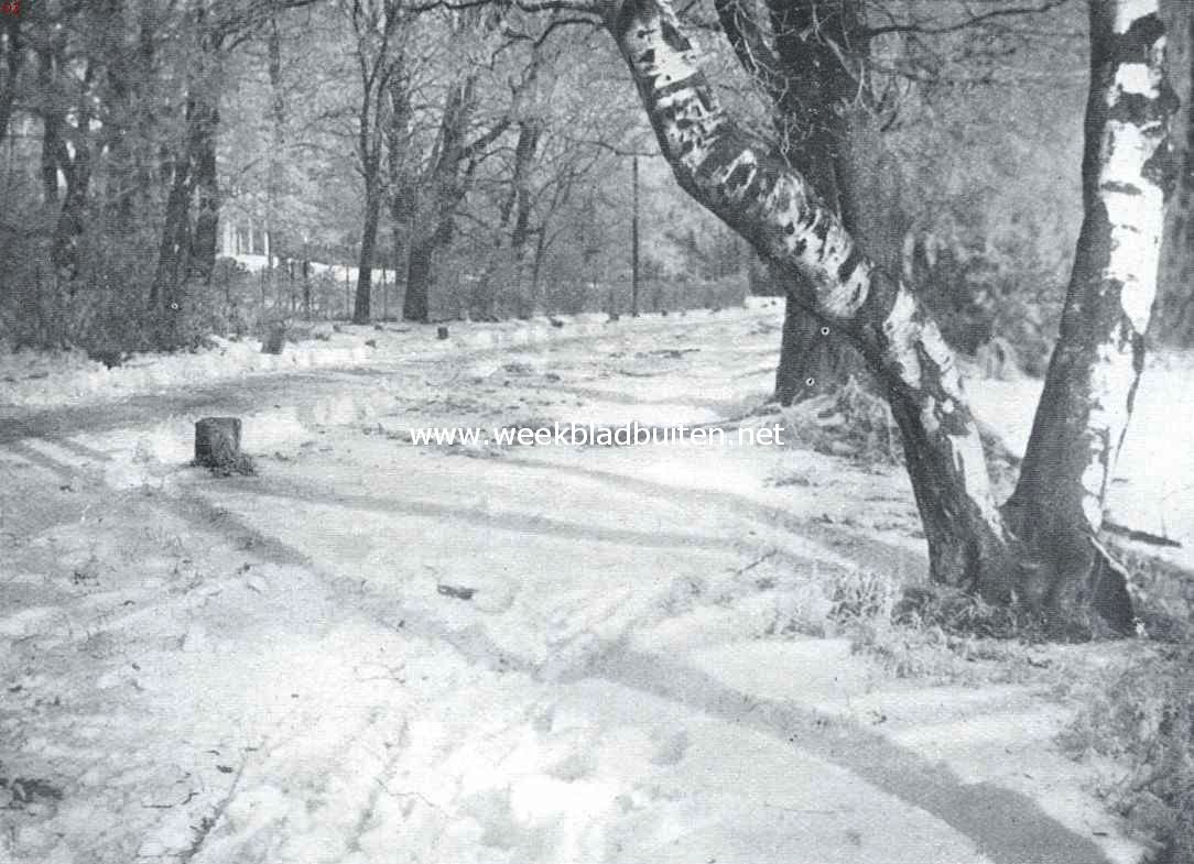 Een herinnering aan een der weinige wintersche dagen van de laatste maanden. Sneeuwgezicht aan den Heijenoordsche Weg te Arnhem