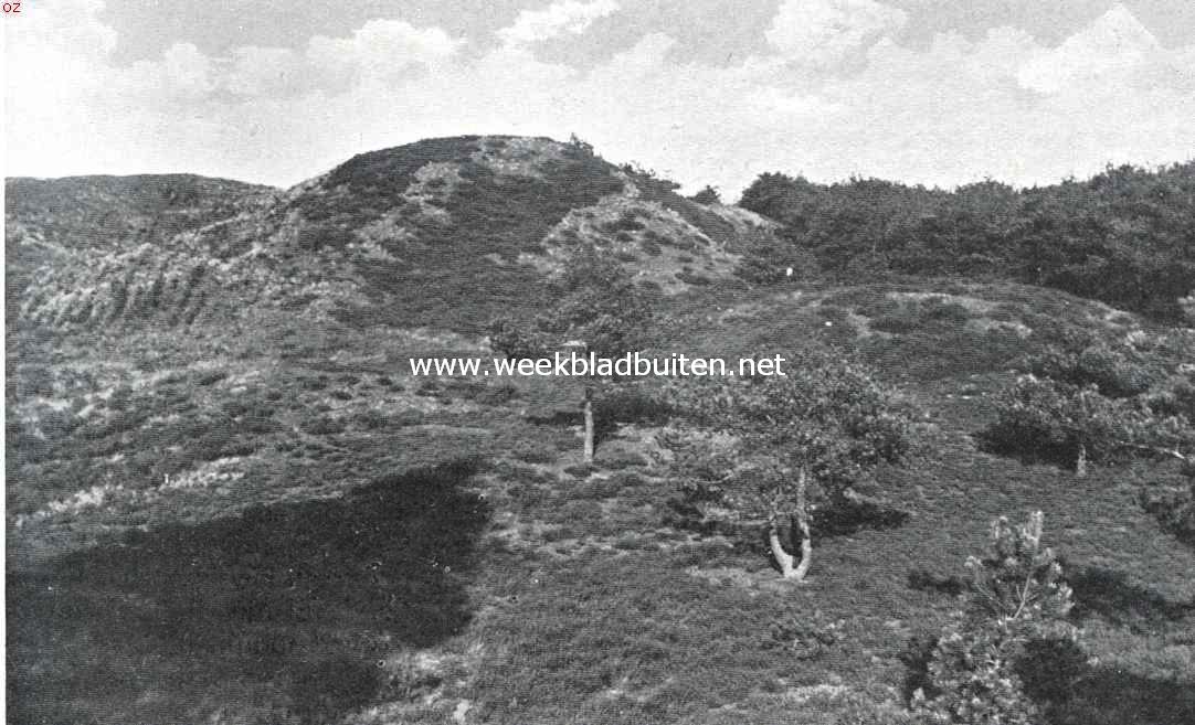 Bij den Witten Berg. Het dal waarin 