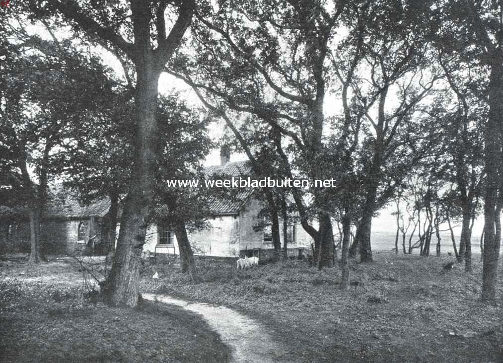 Ockenburgh. Boerderij op het landgoed Ockenburgh