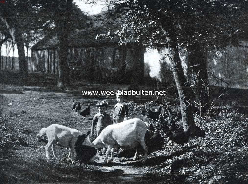 Ockenburgh. Bij de boerderij op het landgoed Ockenburgh