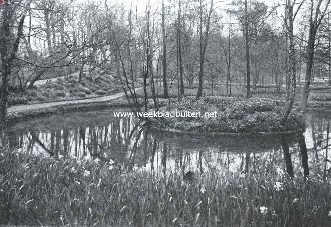 De Voorjaars-bloemententoonstelling te Heemstede. Het Narcissendal met Waterlelievijver