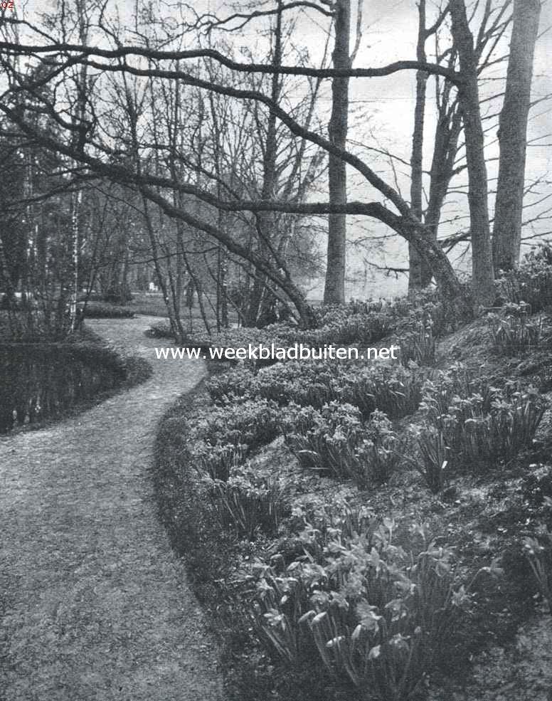De Voorjaarsbloemententoonstelling te Heemstede. Het Narcissendal