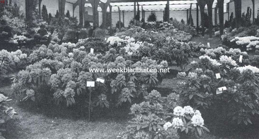 De Voorjaarsbloemententoonstelling te Heemstede. Overzicht der tentoonstelling in het hoofdgebouw. Op den voorgrond de inzending Rhododendrons van de Fa. Van Nes, Boskoop