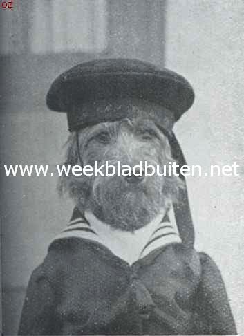 Tom de airedale-terrier in zijne vermommingen. Als matroos