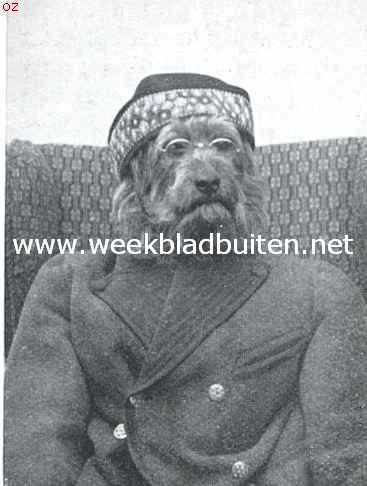 Tom de airedale-terrier in zijne vermommingen. Grootvader