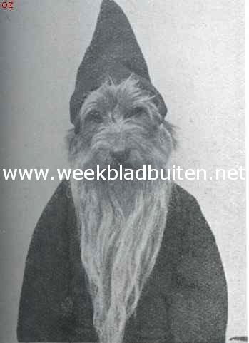 Tom de airedale-terrier in zijne vermommingen. Als kabouter