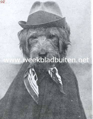 Tom de airedale-terrier in zijne vermommingen. Als landlooper