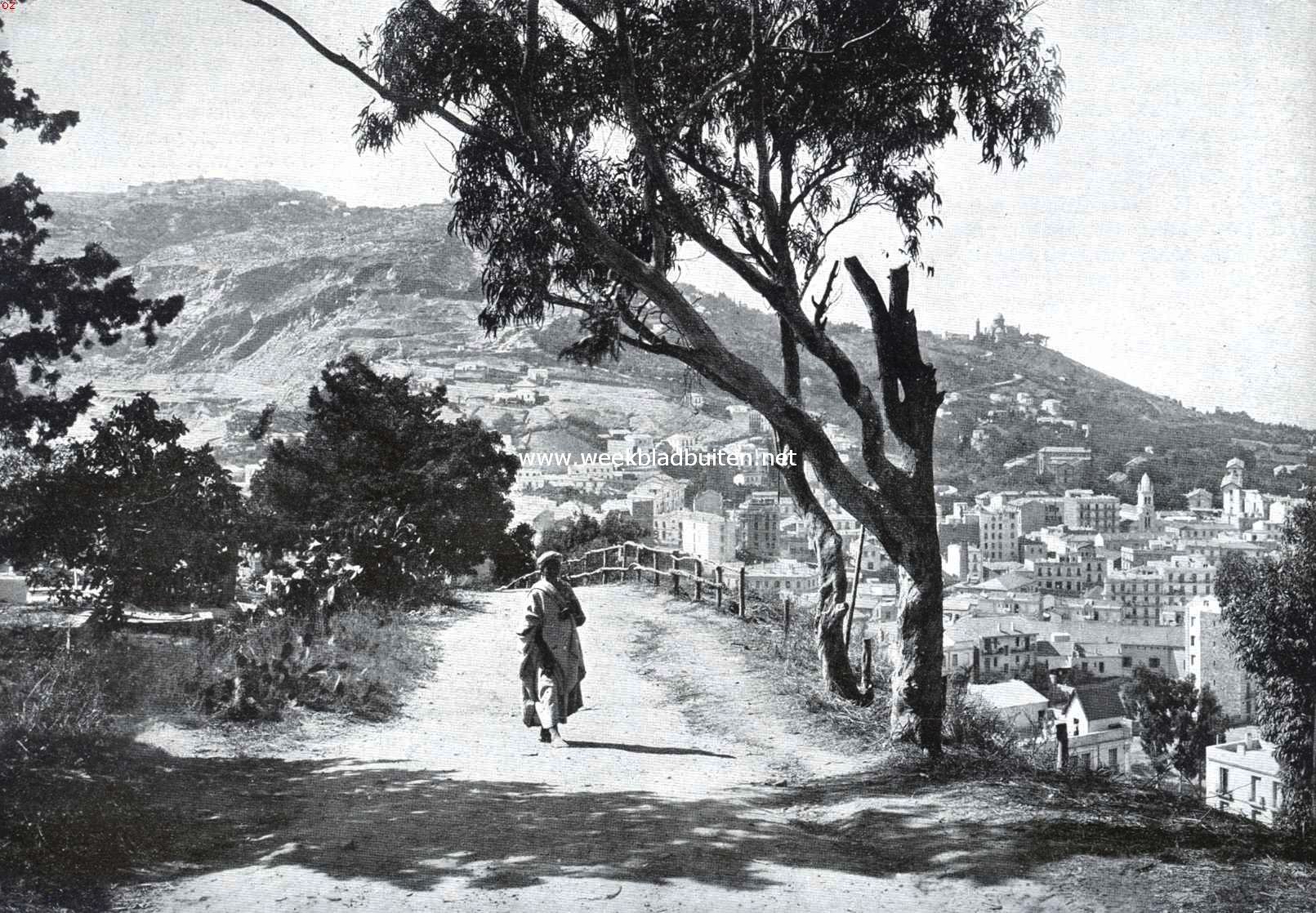 Naar Algiers. De weg naar Mustapha