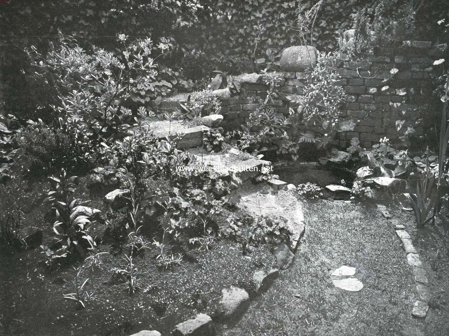 Een bijzondere stadstuin. Een van de verrassingen. Het plekje water en het trapje naar het uitzicht
