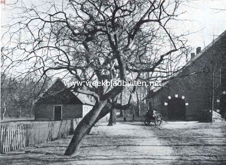 Het landgoed Espelo. Grillig gevormde boomen bij het huis