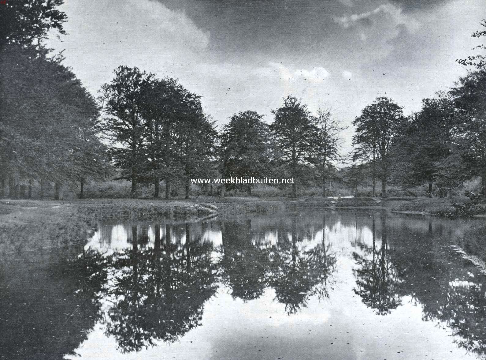 Herfst in 't Baarnsche bosch