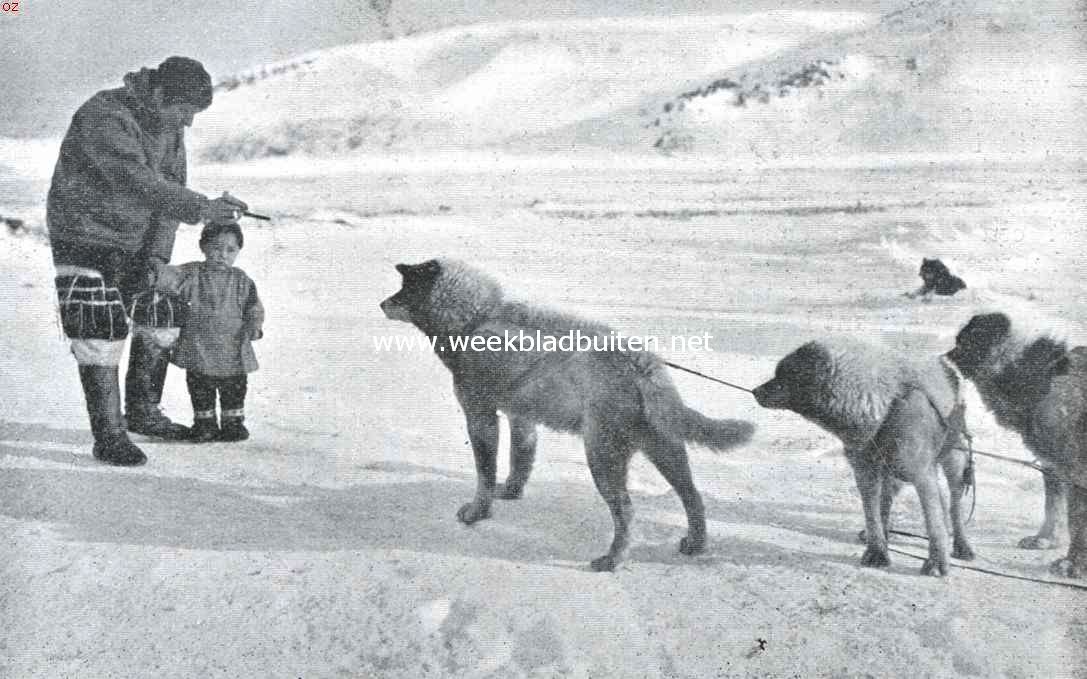 Het vuistrecht bij de Eskimo's. Kennismaking tusschen een kleinen Eskimo en Rasmussen's honden
