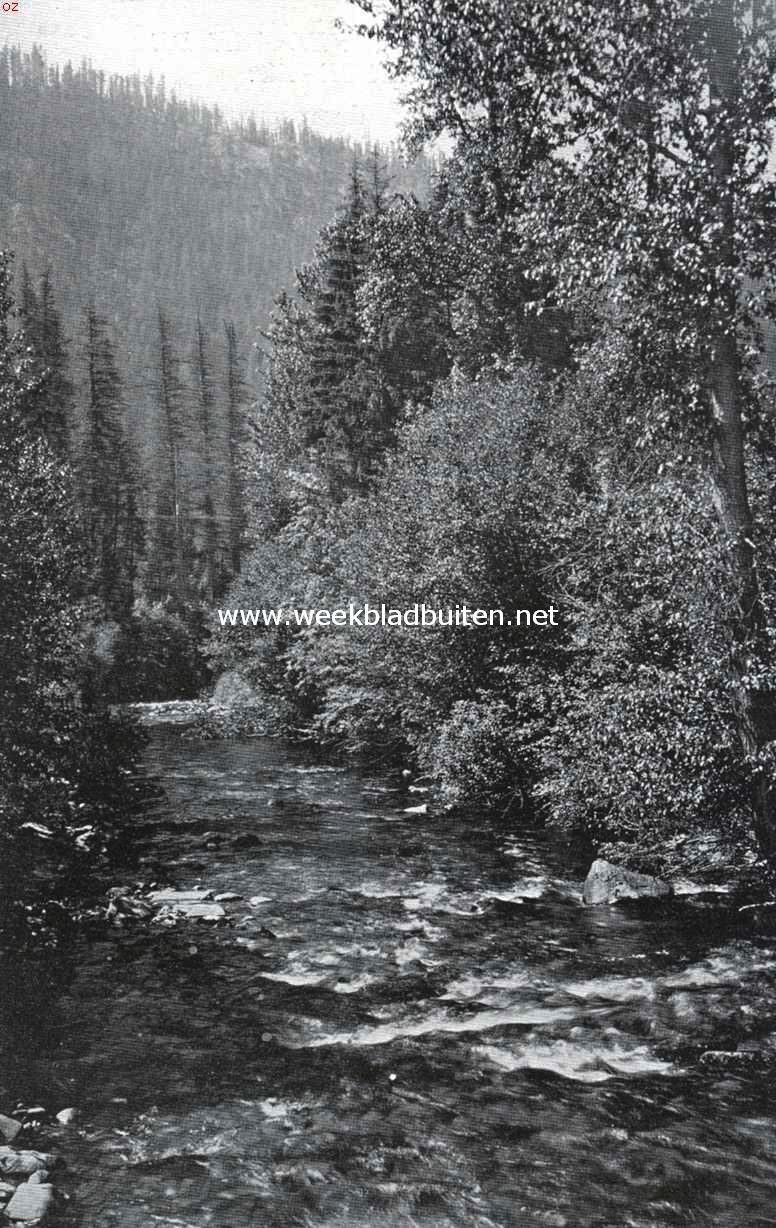 De Amerikaansche National Forests. De Rattlesnake River in Montana