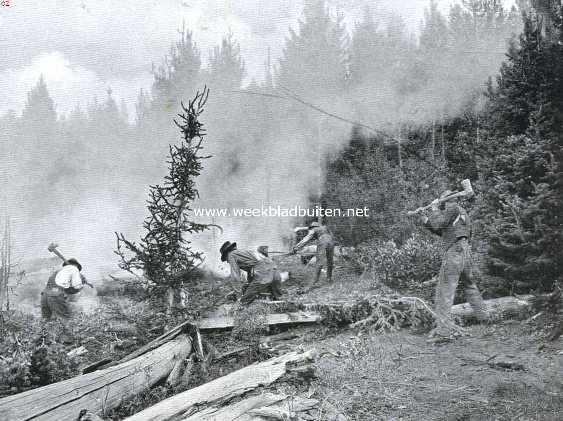 Een boschbrand in het Wasatch National Forest, Utah