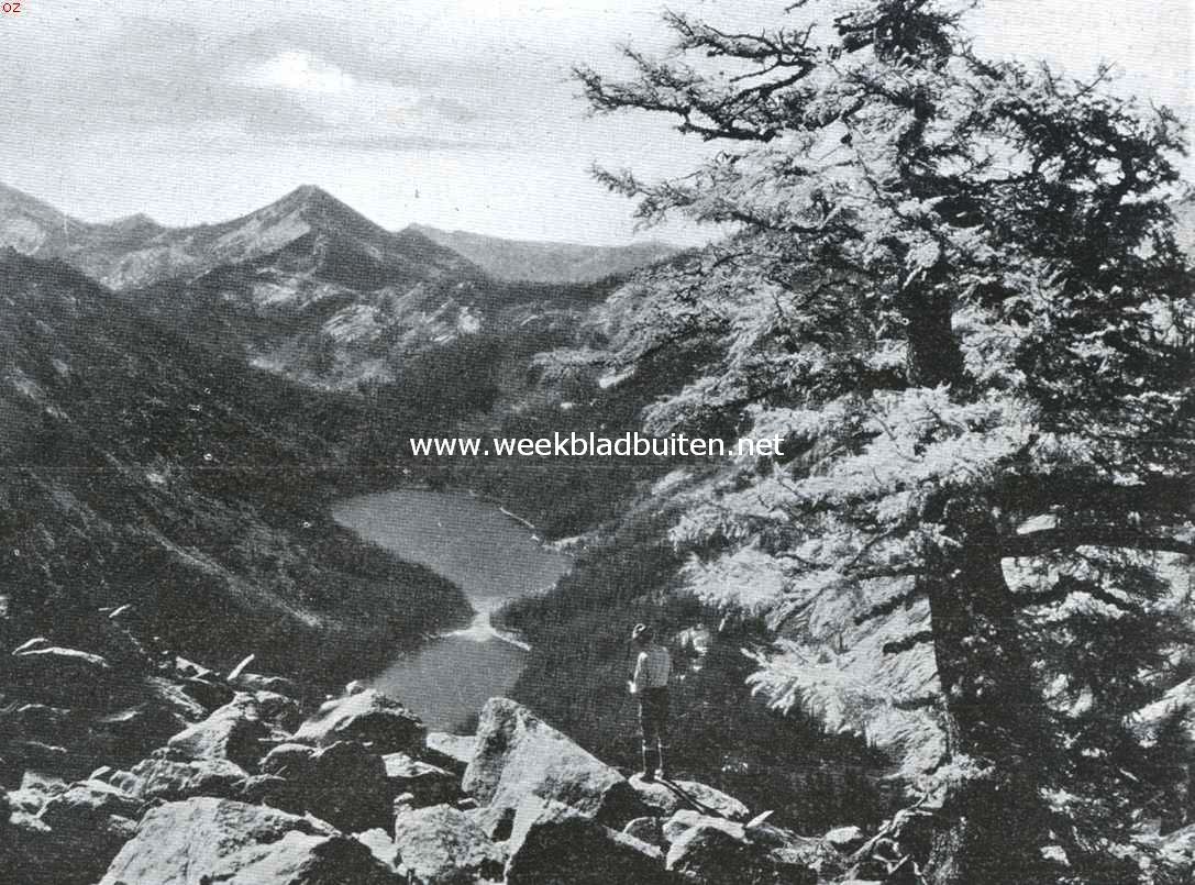De Amerikaansche National Forests. Meertjes in het National Forest, Montana