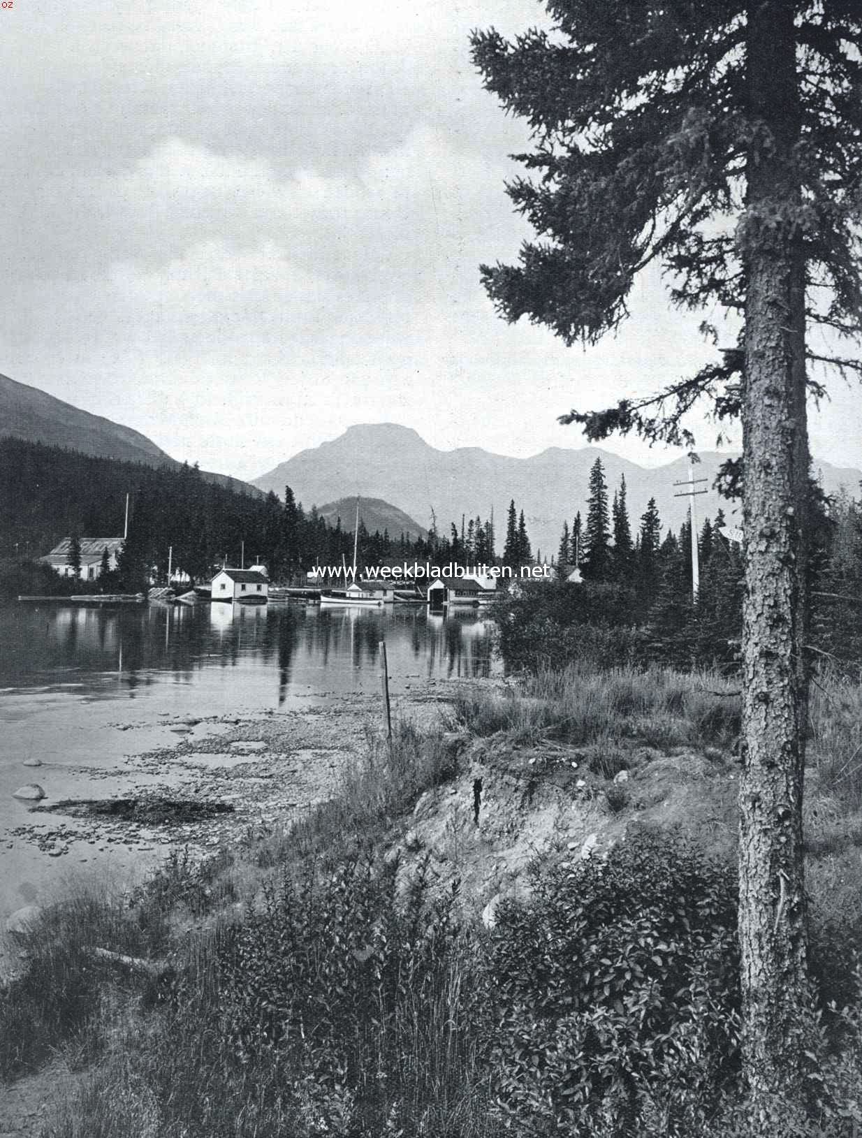 De Bow-Rivier in het Canadeesche Banff National Park